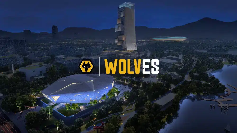 Wolves Esports alexRr Signing Adds Veteran Coach to Chinese VCT Rebuild